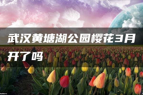 武汉黄塘湖公园樱花3月开了吗