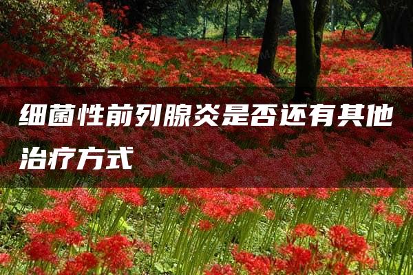 细菌性前列腺炎是否还有其他治疗方式