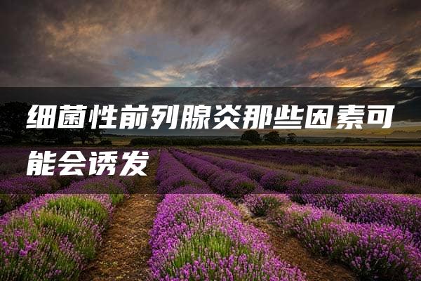 细菌性前列腺炎那些因素可能会诱发