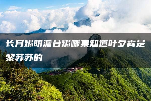 长月烬明澹台烬哪集知道叶夕雾是黎苏苏的