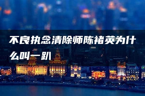 不良执念清除师陈褚英为什么叫一趴