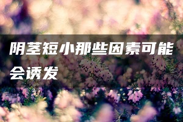 阴茎短小那些因素可能会诱发