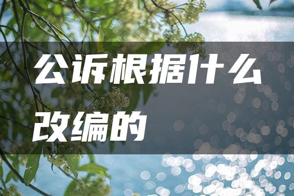 公诉根据什么改编的