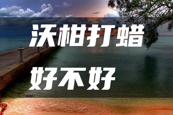 沃柑打蜡好不好