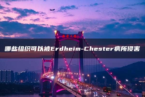 哪些组织可以被Erdheim-Chester病所侵害