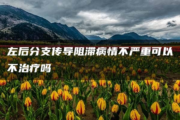 左后分支传导阻滞病情不严重可以不治疗吗