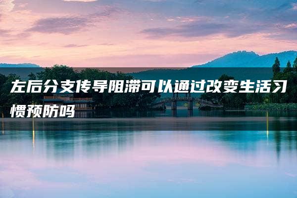 左后分支传导阻滞可以通过改变生活习惯预防吗