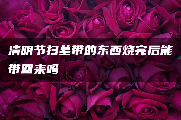 清明节扫墓带的东西烧完后能带回来吗