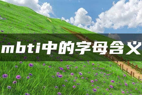 mbti中的字母含义