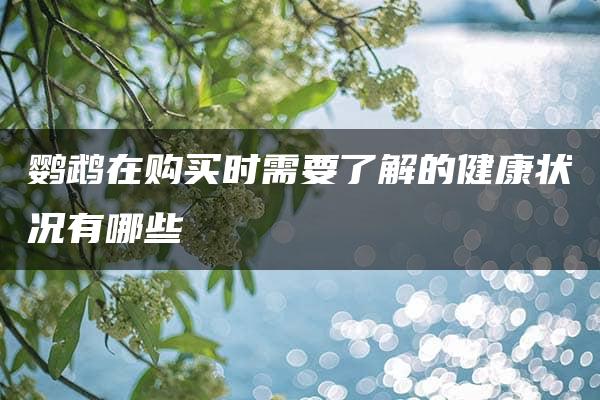 鹦鹉在购买时需要了解的健康状况有哪些