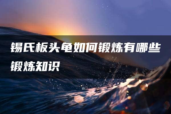 锡氏板头龟如何锻炼有哪些锻炼知识