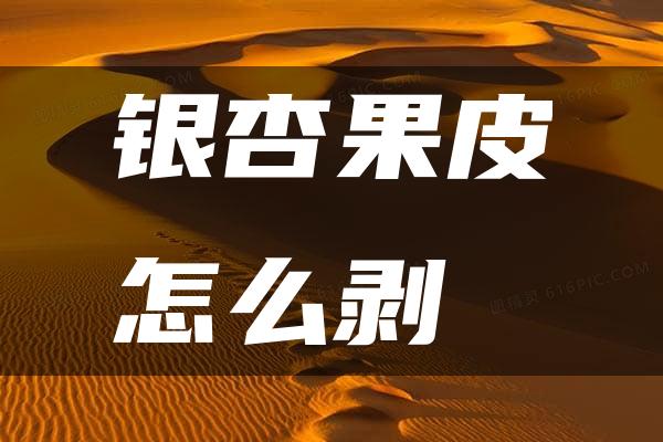 银杏果皮怎么剥