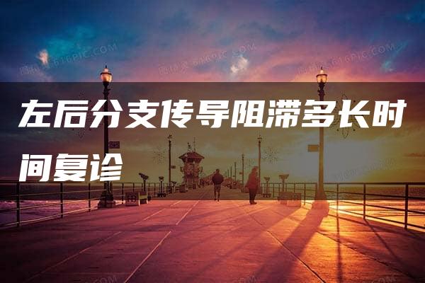 左后分支传导阻滞多长时间复诊