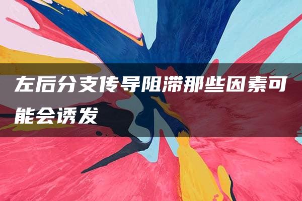 左后分支传导阻滞那些因素可能会诱发