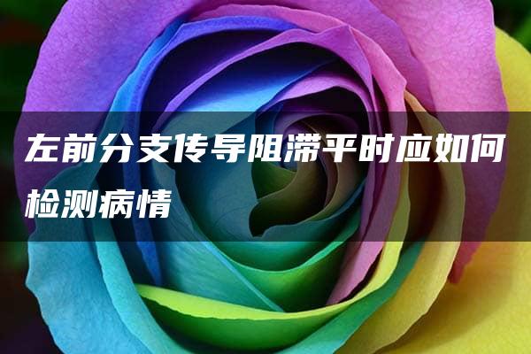 左前分支传导阻滞平时应如何检测病情