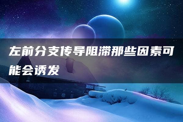 左前分支传导阻滞那些因素可能会诱发