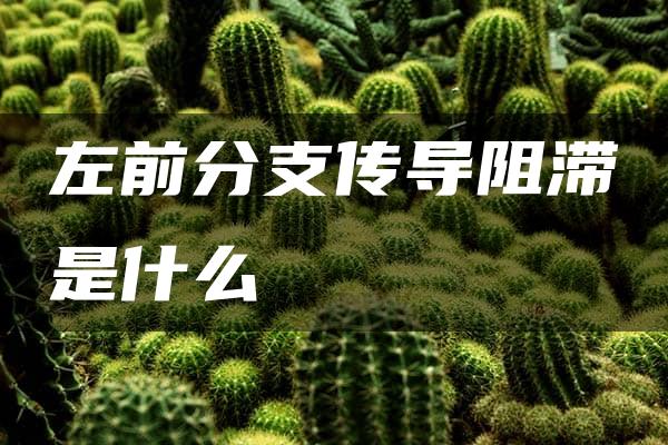 左前分支传导阻滞是什么