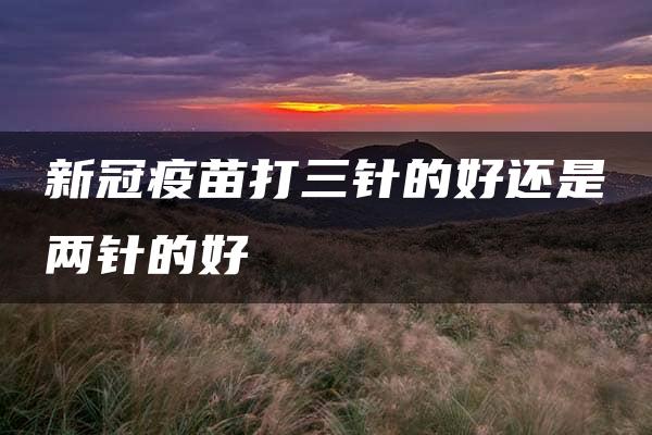 新冠疫苗打三针的好还是两针的好