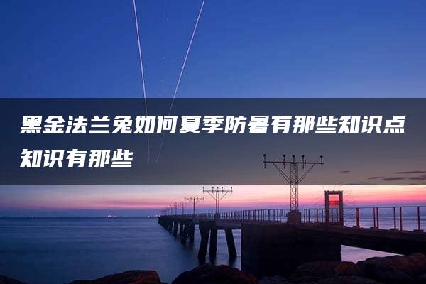 黑金法兰兔如何夏季防暑有那些知识点知识有那些