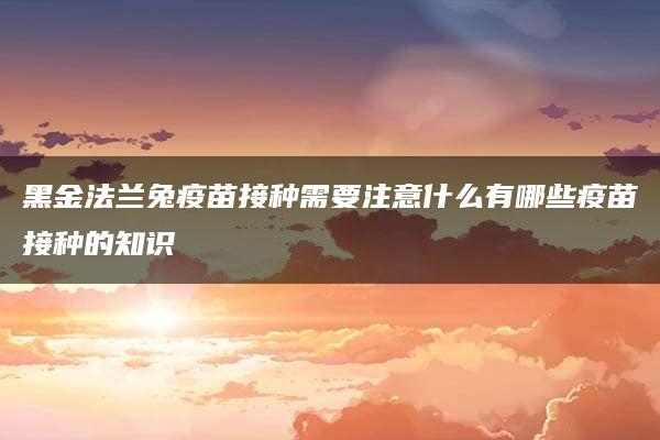 黑金法兰兔疫苗接种需要注意什么有哪些疫苗接种的知识