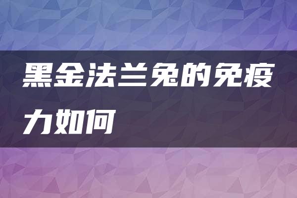 黑金法兰兔的免疫力如何