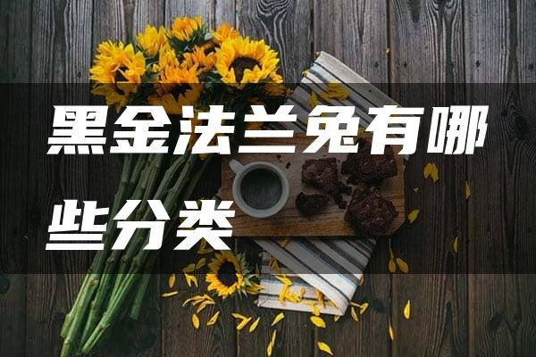 黑金法兰兔有哪些分类