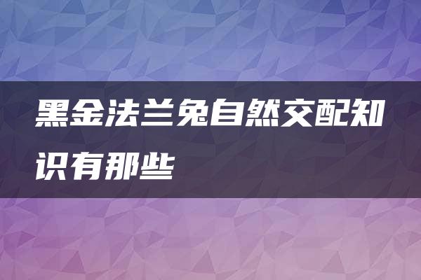 黑金法兰兔自然交配知识有那些