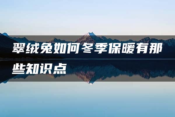 翠绒兔如何冬季保暖有那些知识点