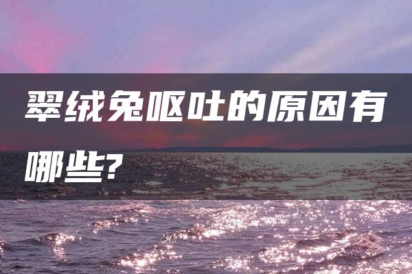 翠绒兔呕吐的原因有哪些?