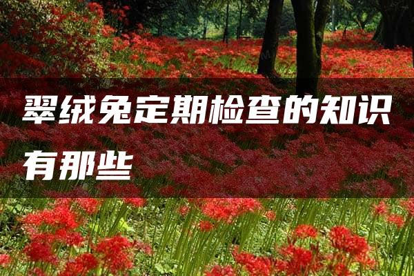 翠绒兔定期检查的知识有那些