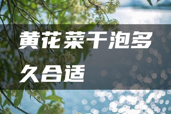 黄花菜干泡多久合适