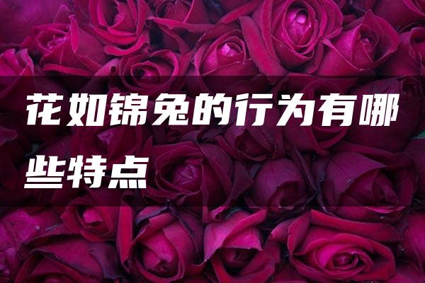 花如锦兔的行为有哪些特点