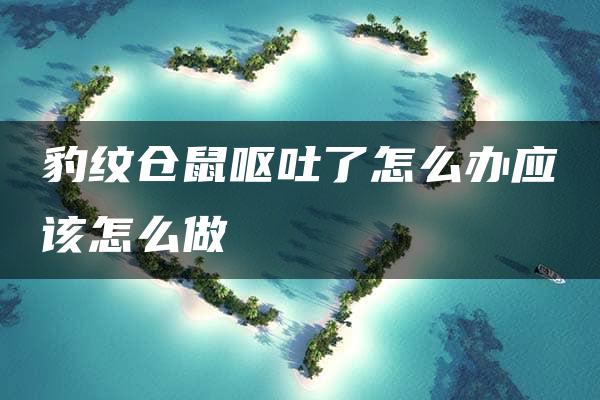 豹纹仓鼠呕吐了怎么办应该怎么做