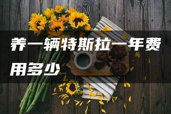 养一辆特斯拉一年费用多少