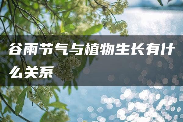 谷雨节气与植物生长有什么关系