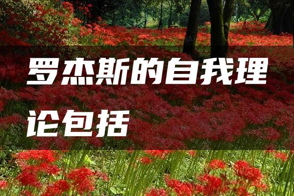 罗杰斯的自我理论包括