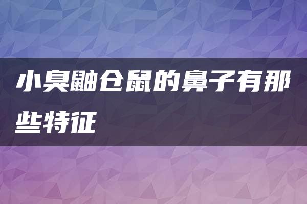 小臭鼬仓鼠的鼻子有那些特征