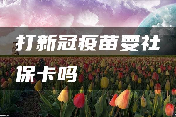 打新冠疫苗要社保卡吗