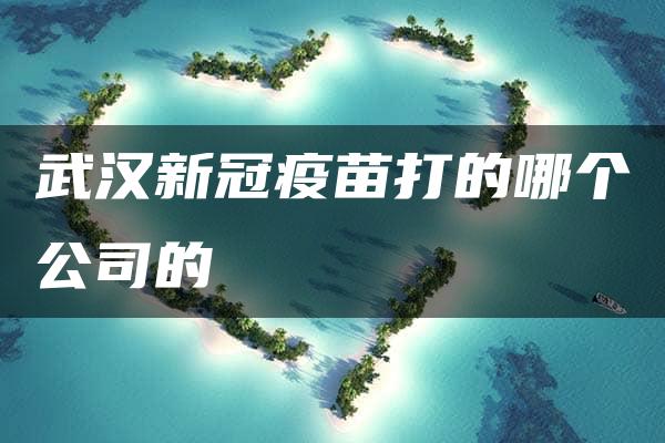 武汉新冠疫苗打的哪个公司的