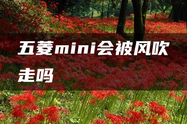 五菱mini会被风吹走吗