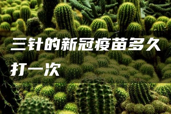 三针的新冠疫苗多久打一次