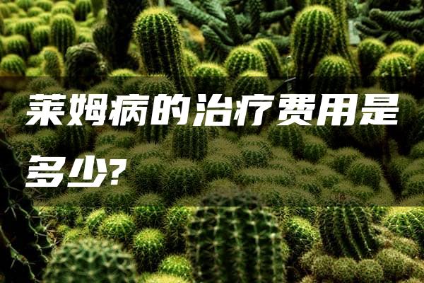 莱姆病的治疗费用是多少?