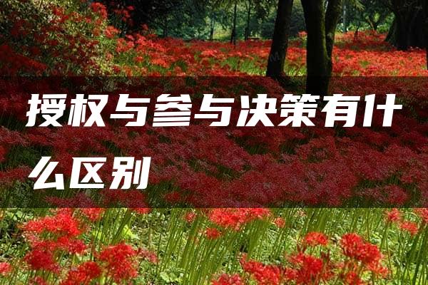 授权与参与决策有什么区别