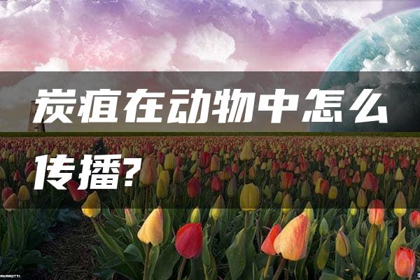 炭疽在动物中怎么传播?