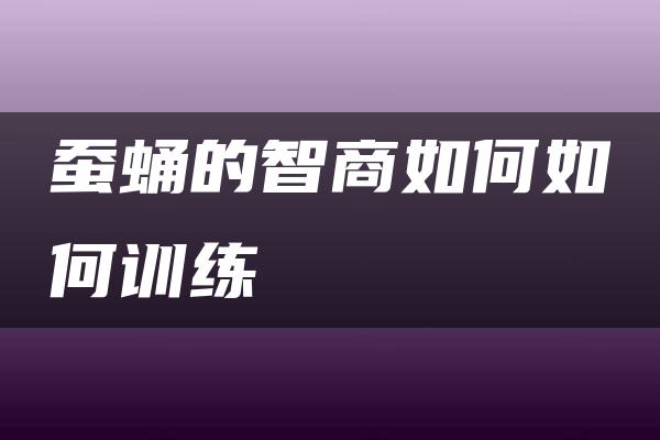 蚕蛹的智商如何如何训练