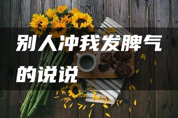 别人冲我发脾气的说说