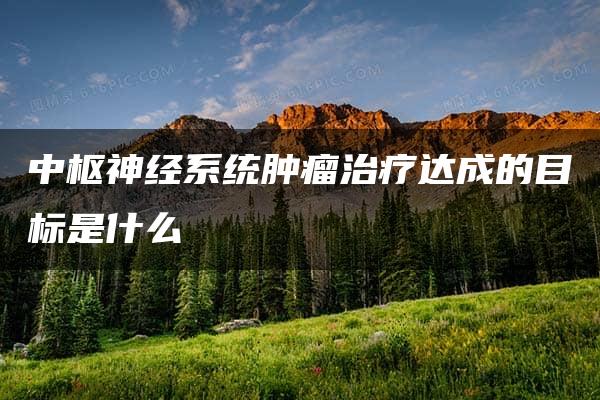 中枢神经系统肿瘤治疗达成的目标是什么