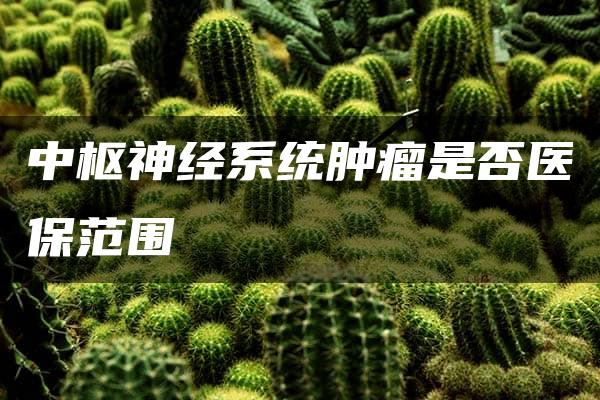 中枢神经系统肿瘤是否医保范围