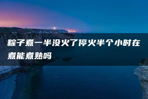 粽子煮一半没火了停火半个小时在煮能煮熟吗