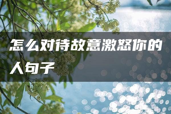 怎么对待故意激怒你的人句子